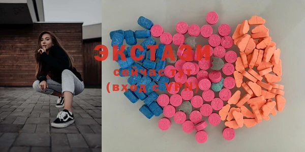 индика Алексин