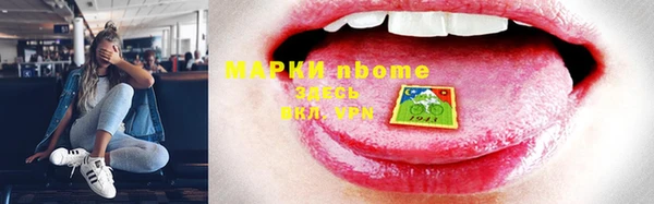 индика Алексин
