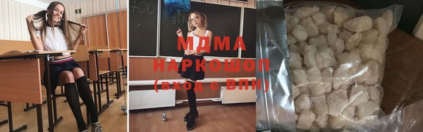 индика Алексин