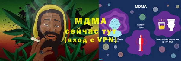 индика Алексин