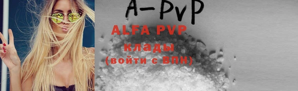 spice Алзамай