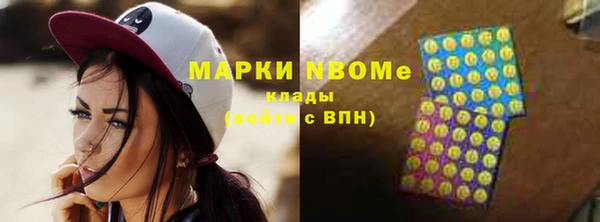 индика Алексин