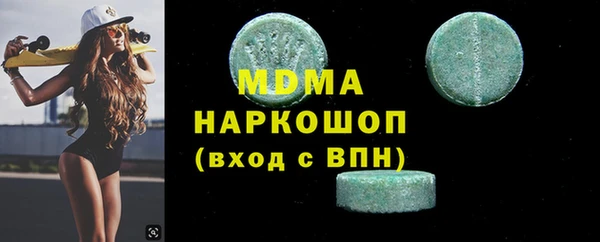 индика Алексин