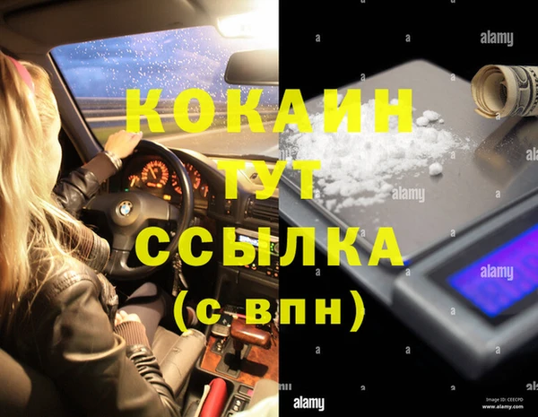 индика Алексин