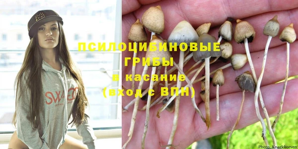 индика Алексин