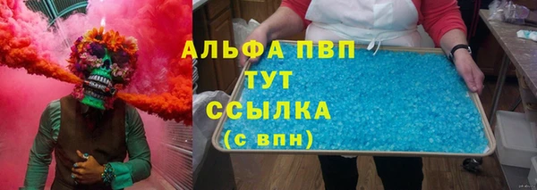 spice Алзамай