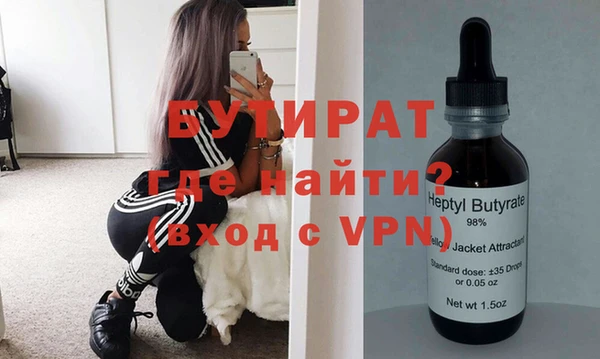 индика Алексин