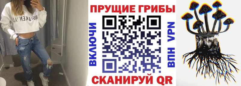 ОМГ ОМГ ссылки  Заводоуковск  Псилоцибиновые грибы Magic Shrooms 